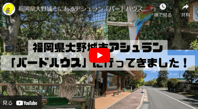 福岡県大野城市にある「アシュランバードハウス」に実際に行ったYouTube動画のサムネイル画像